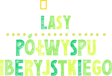 Lasy Półwyspu Iberyjskiego