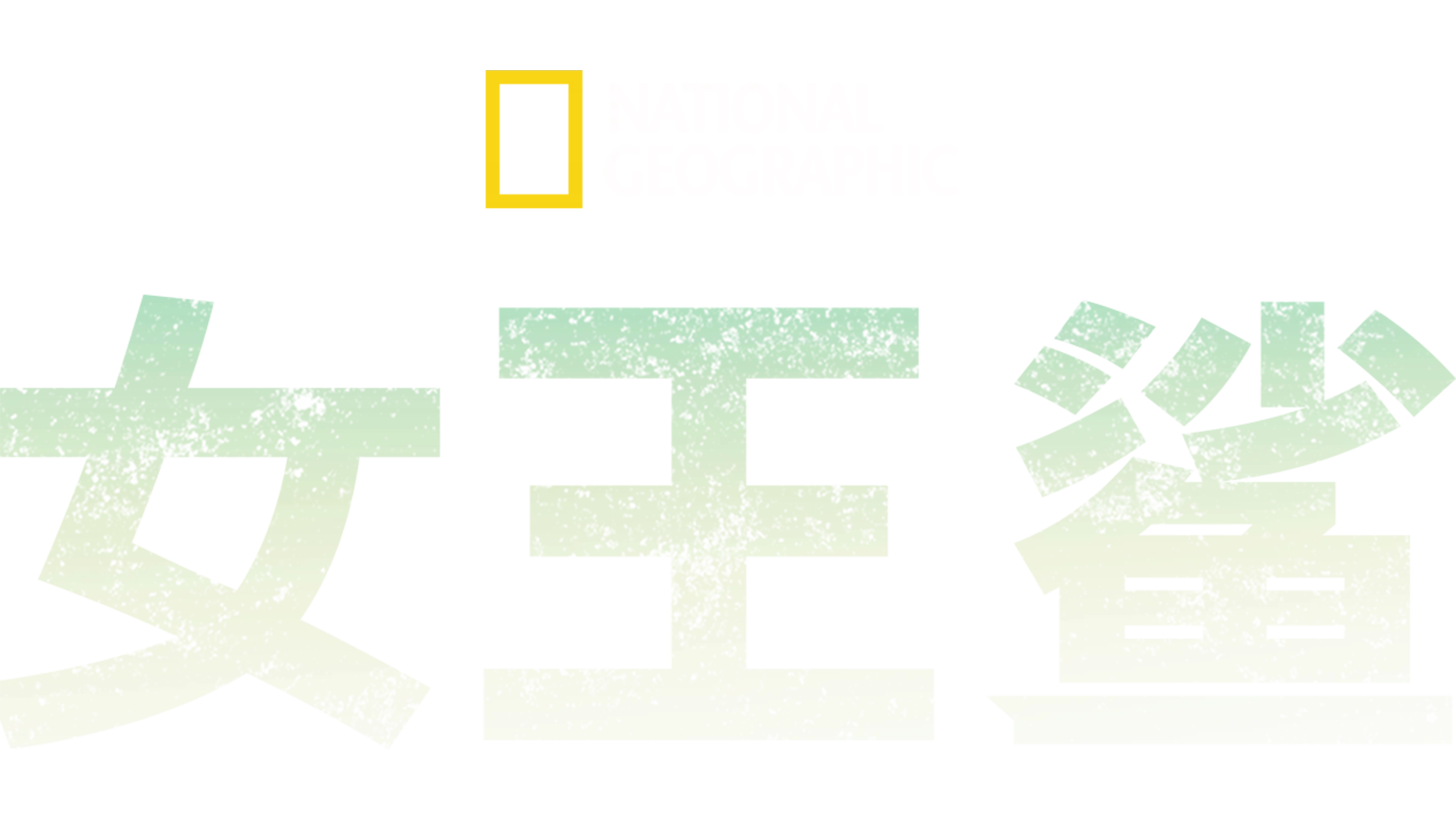 女王鲨