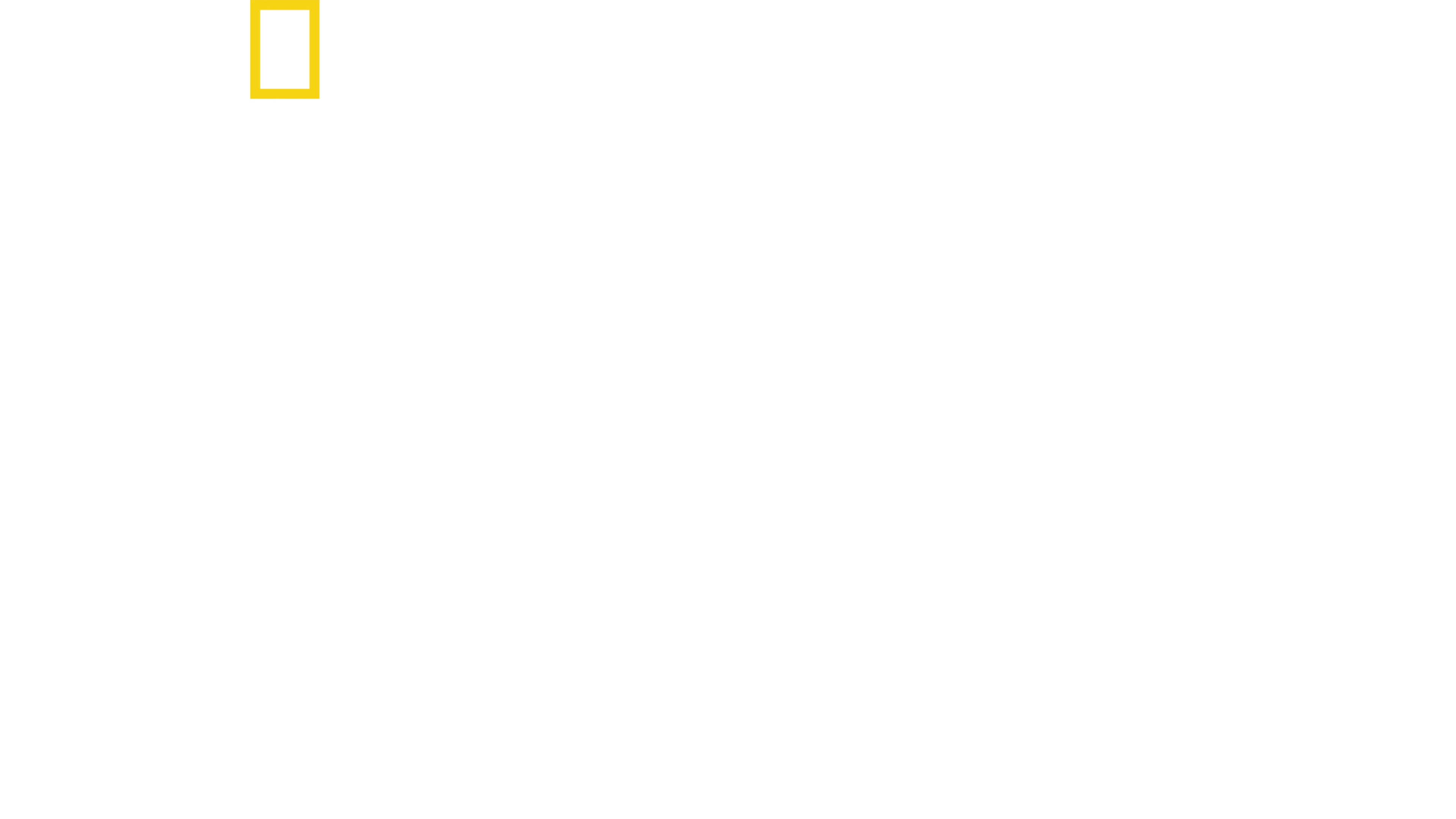 Jednotky SS