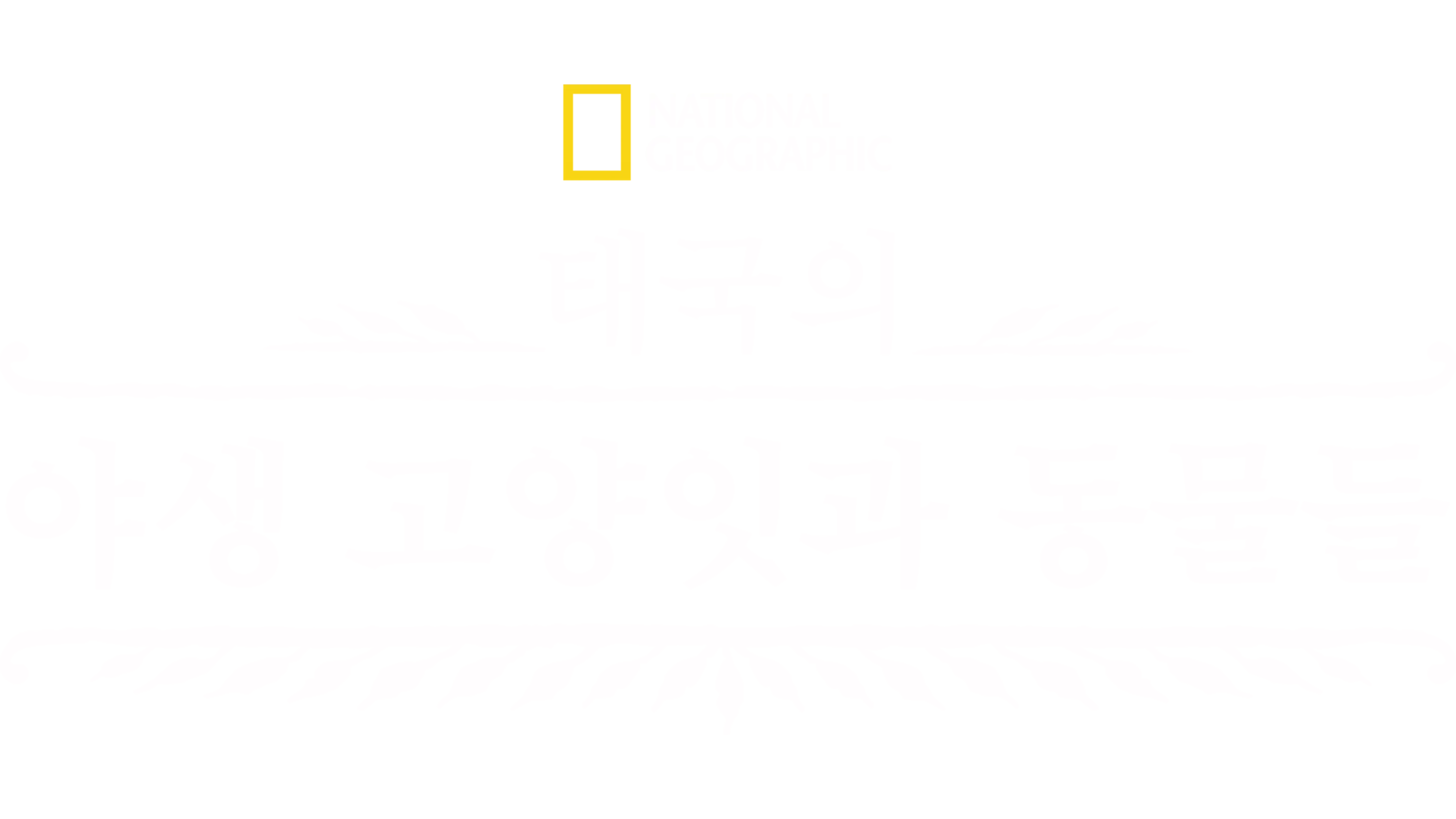 태국의 야생 고양잇과 동물들