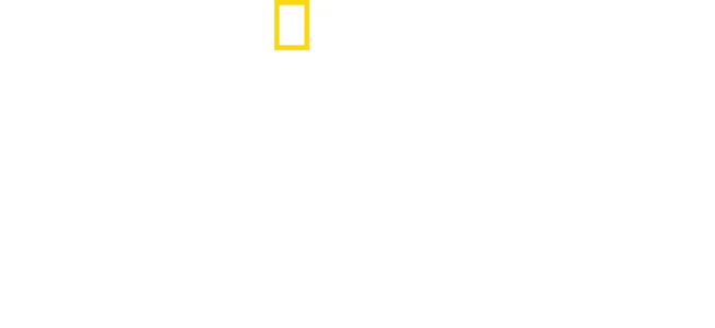 Dynastia Kimów - trzy pokolenia