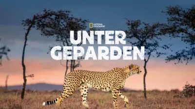 thumbnail - Unter Geparden