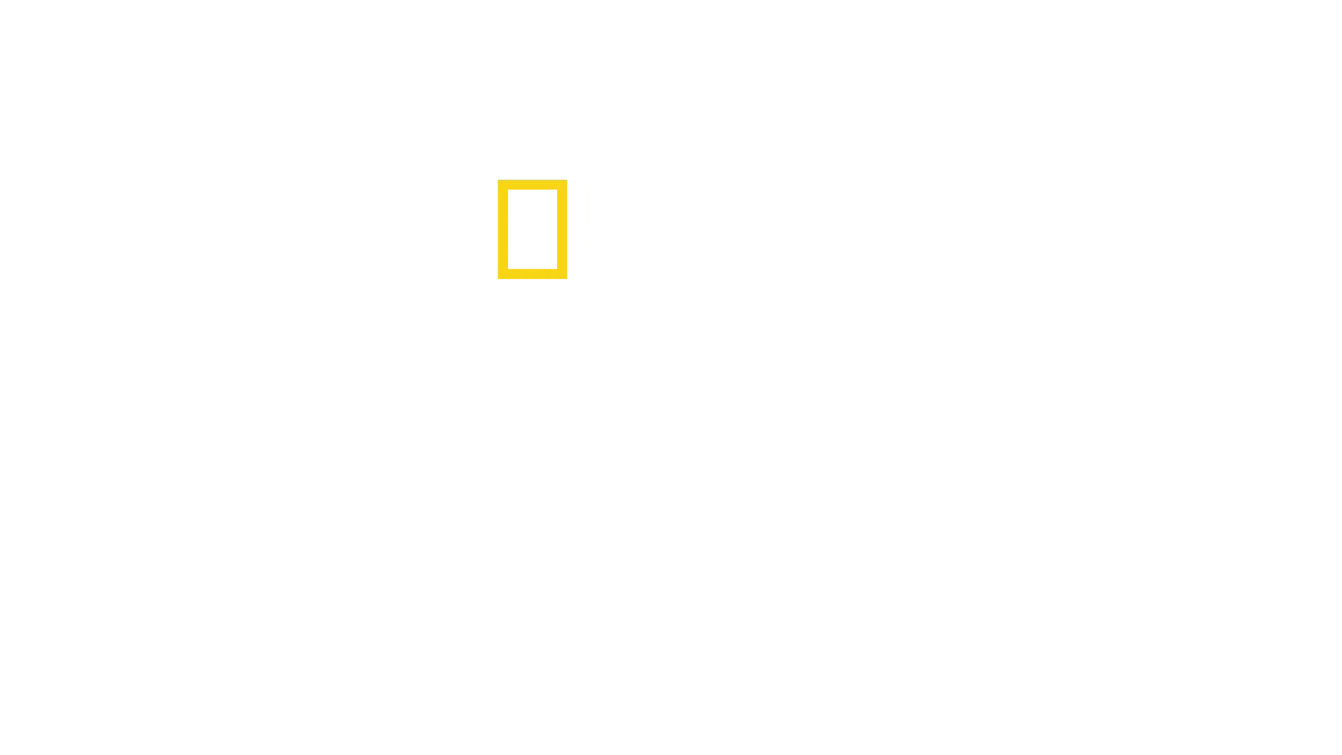 Superstadion Realu Madryt