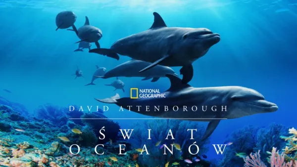 thumbnail - David Attenborough: Świat oceanów