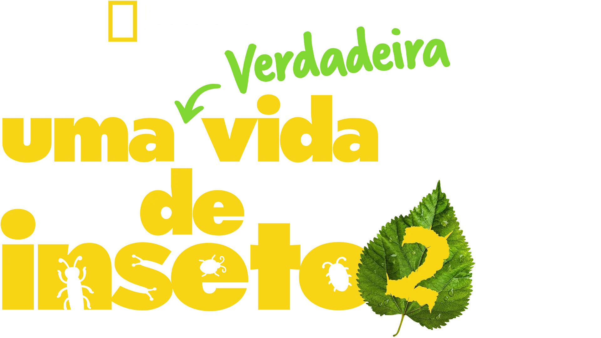 Uma Verdadeira Vida de Inseto