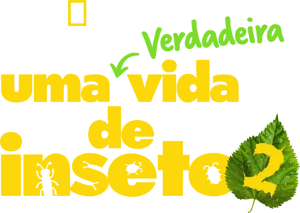 Uma Verdadeira Vida de Inseto
