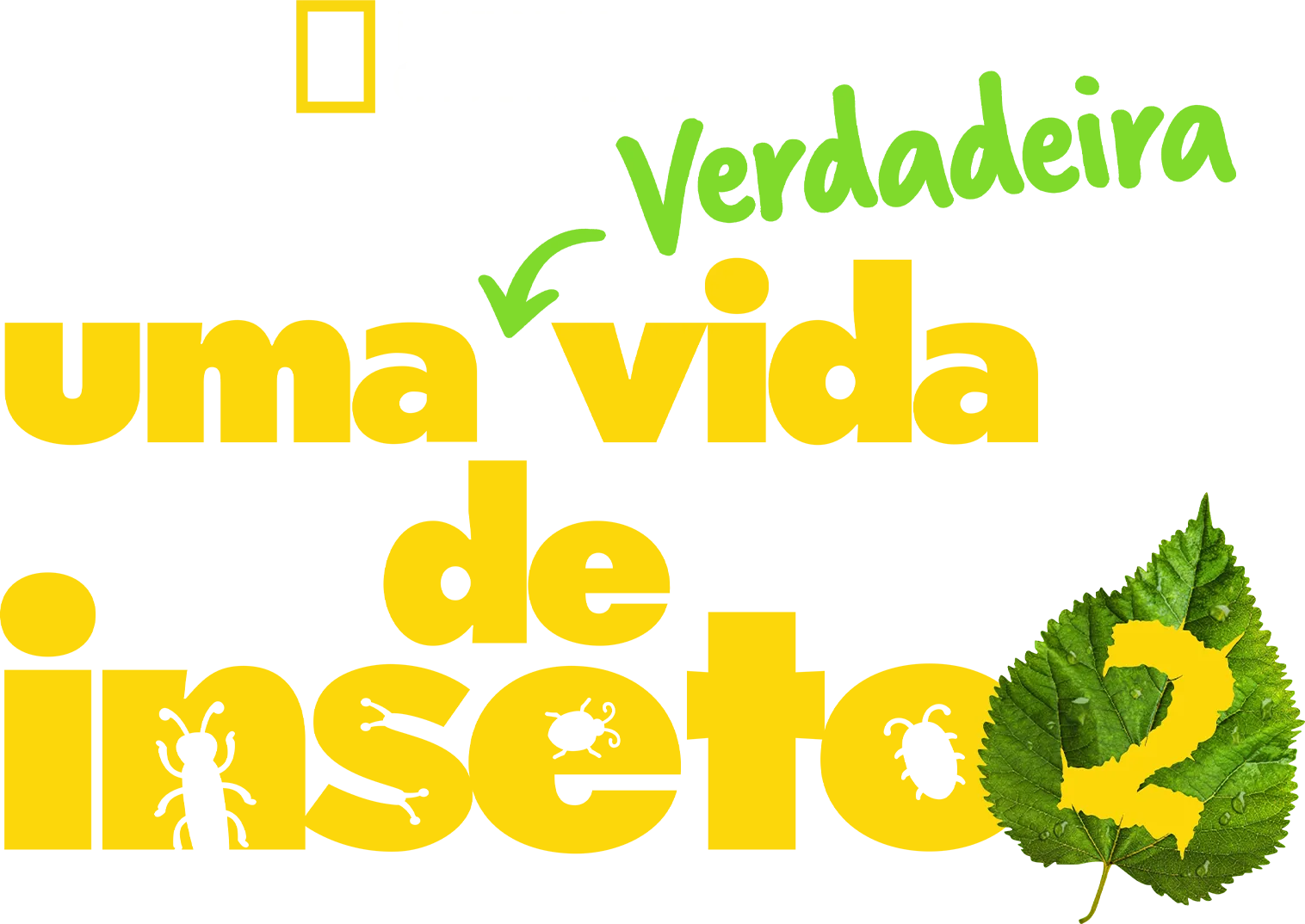 Uma Verdadeira Vida de Inseto