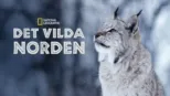 thumbnail - Det vilda norden