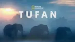thumbnail - Tufan