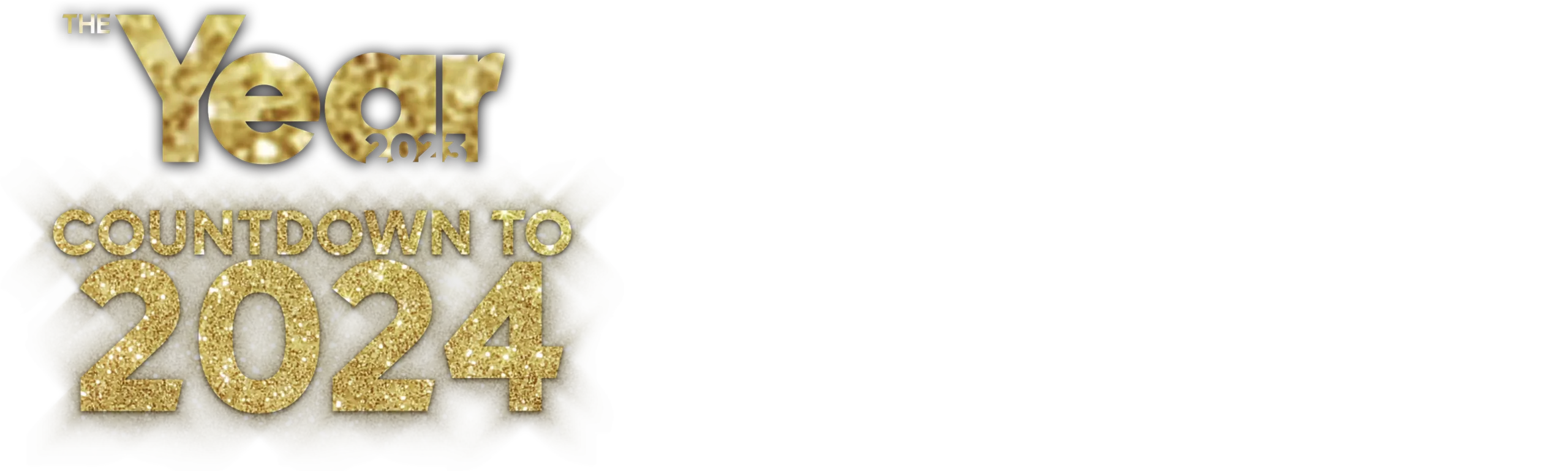 The Year: Countdown to 2024