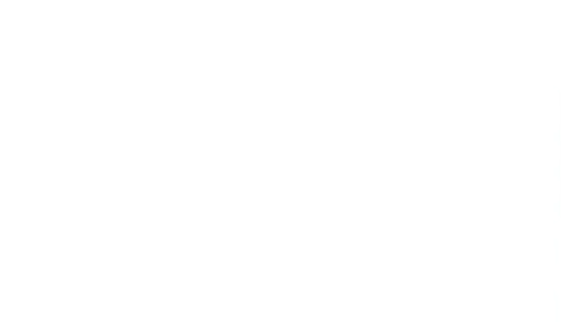 McFarland: Sin límites
