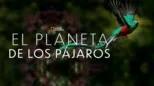 thumbnail - El Planeta de los Pájaros