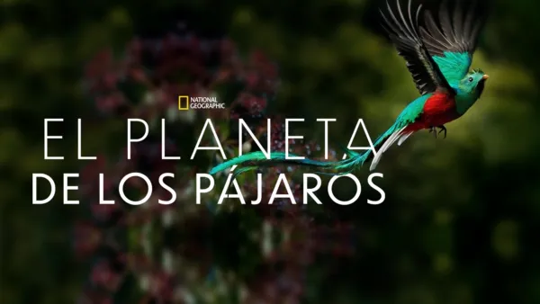 thumbnail - El Planeta de los Pájaros