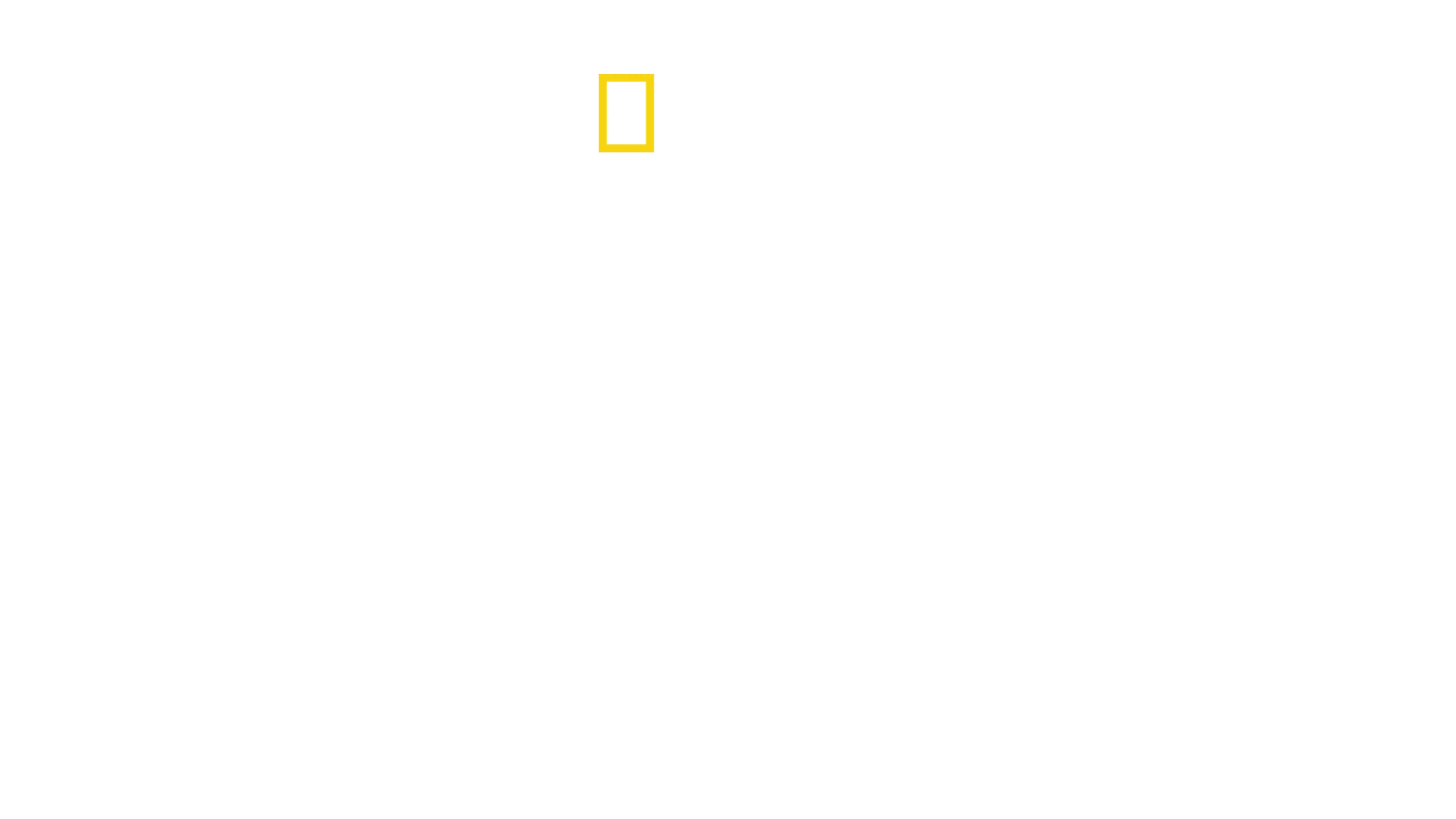 Çitaların Arasında