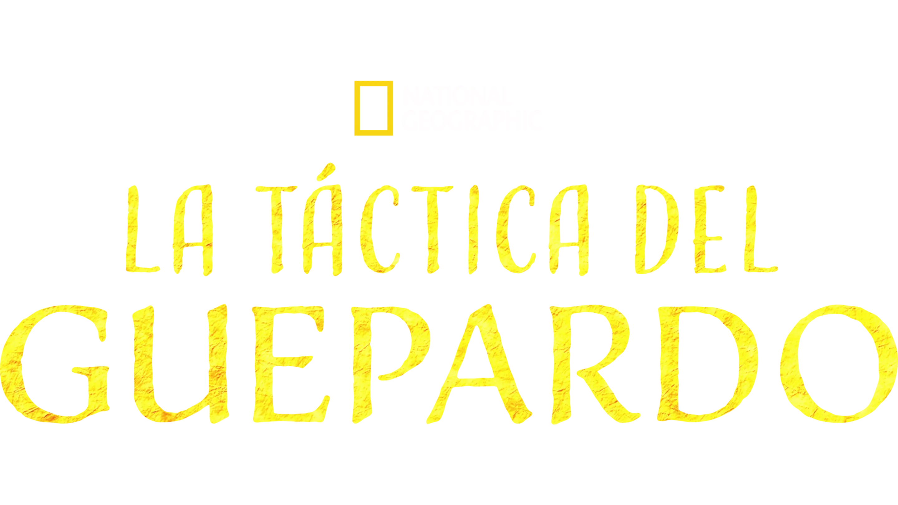 La táctica del guepardo