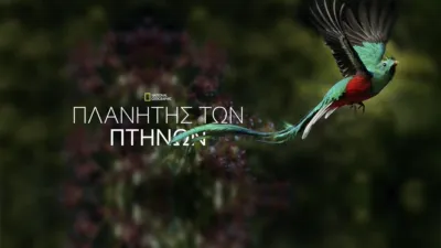 Πλανήτης των Πτηνών