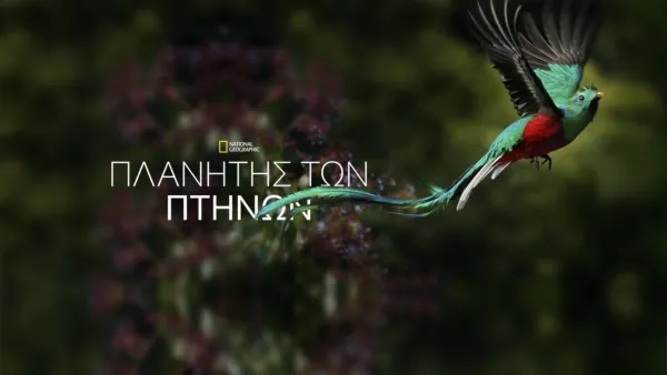 thumbnail - Πλανήτης των Πτηνών