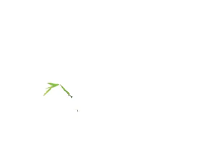 Trail of the Panda