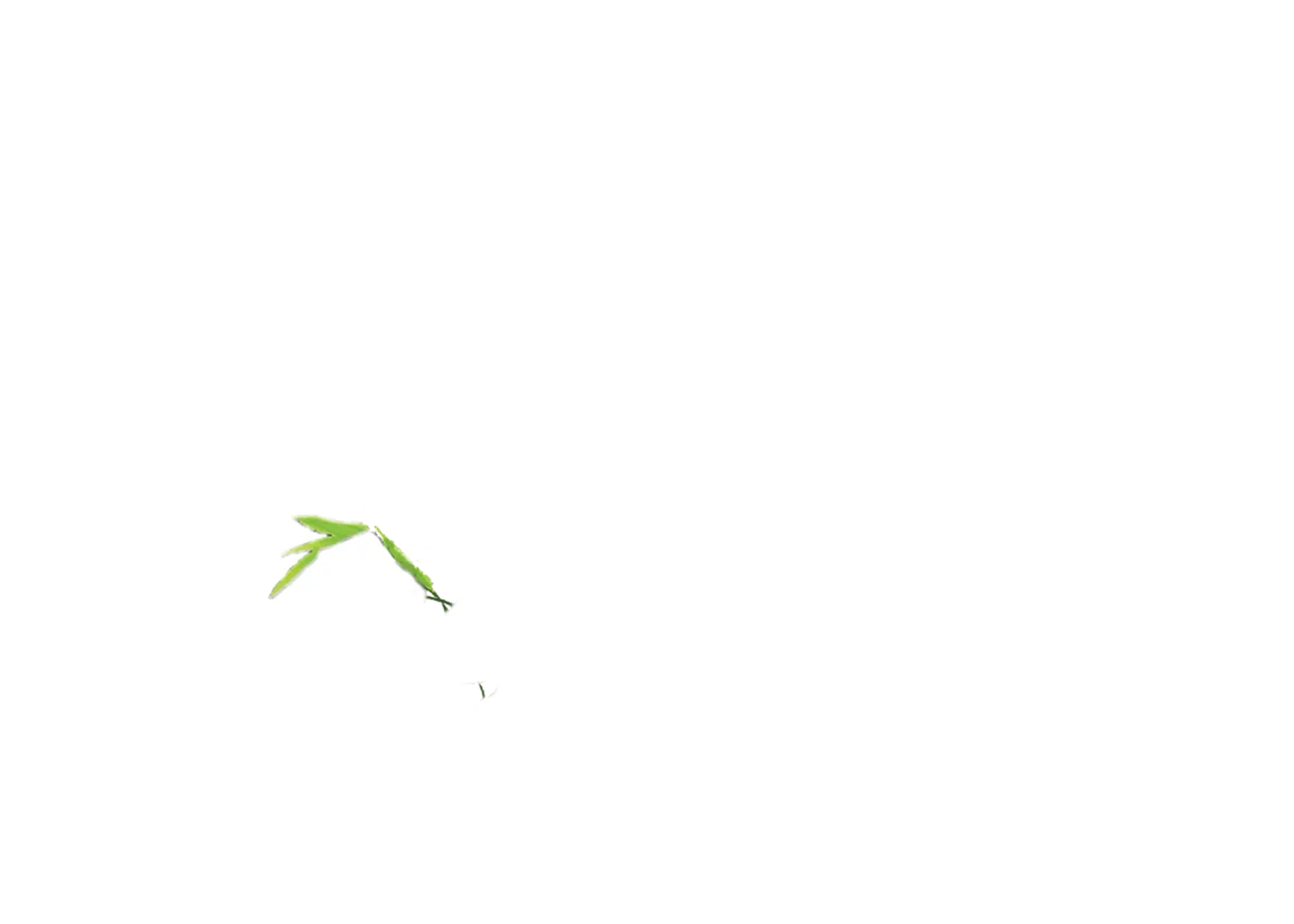 Trail of the Panda