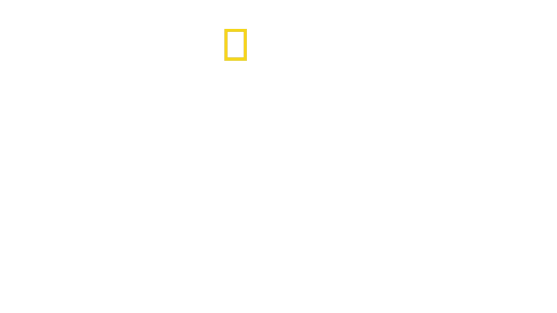 Familia de Animales