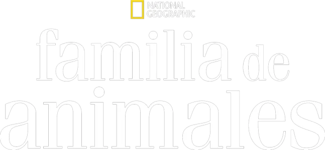 Familia de Animales