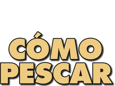 Cómo pescar