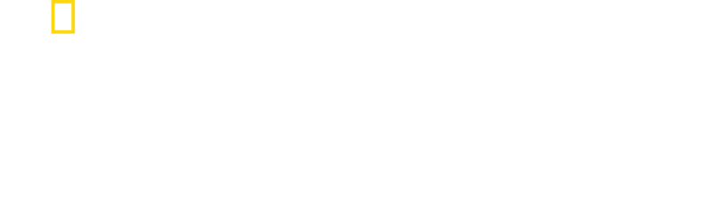 Origins: Το Ταξίδι της Ανθρωπότητας
