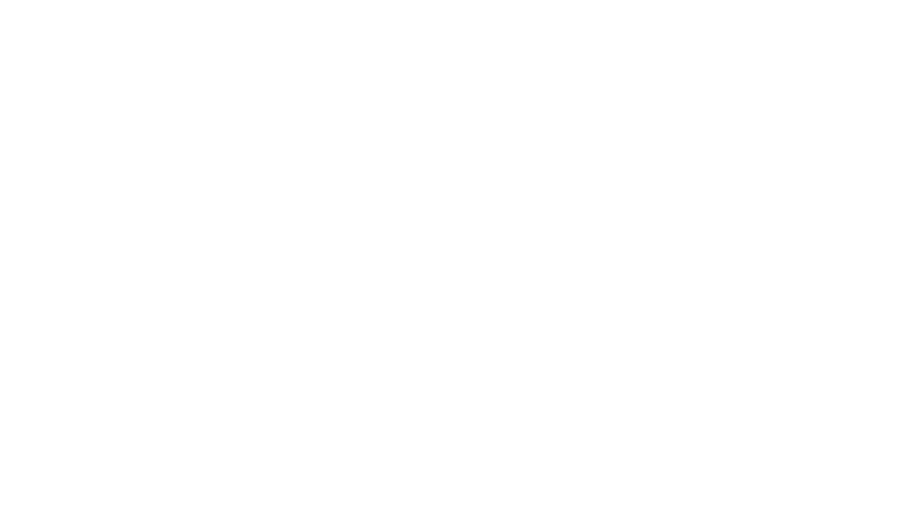 The Other Black Girl