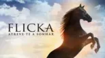 thumbnail - Flicka