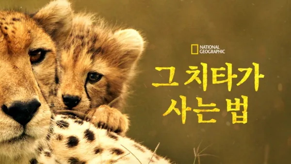 thumbnail - 그 치타가 사는 법