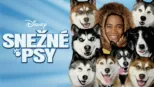 thumbnail - Snežné psy