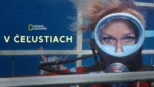 thumbnail - V čeľustiach