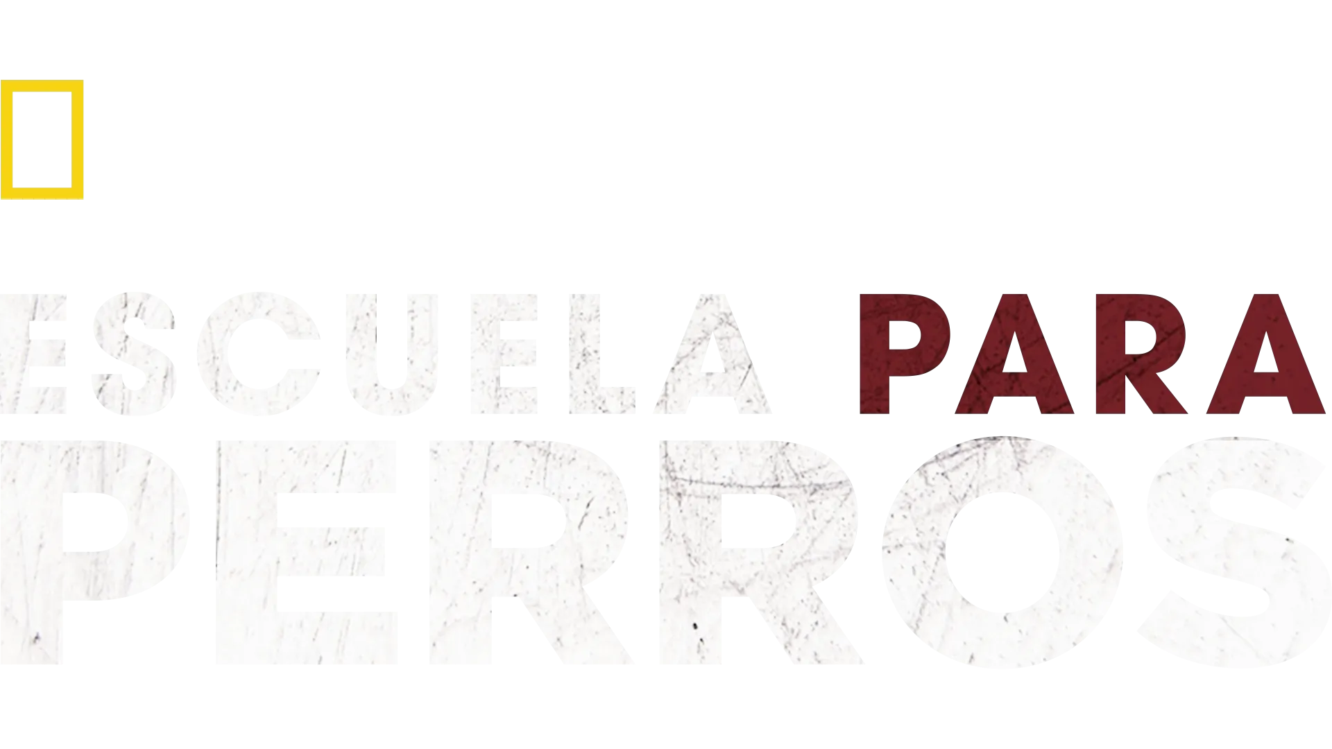 Escuela para perros
