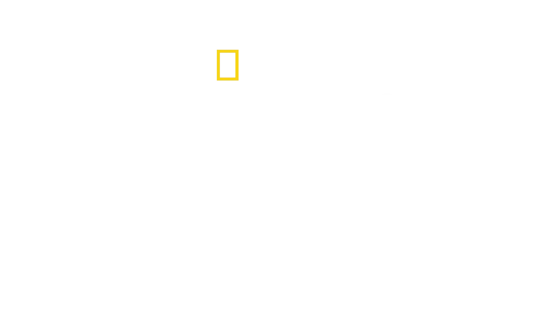 Lawless Island