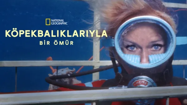 thumbnail - Köpekbalıklarıyla Bir Ömür