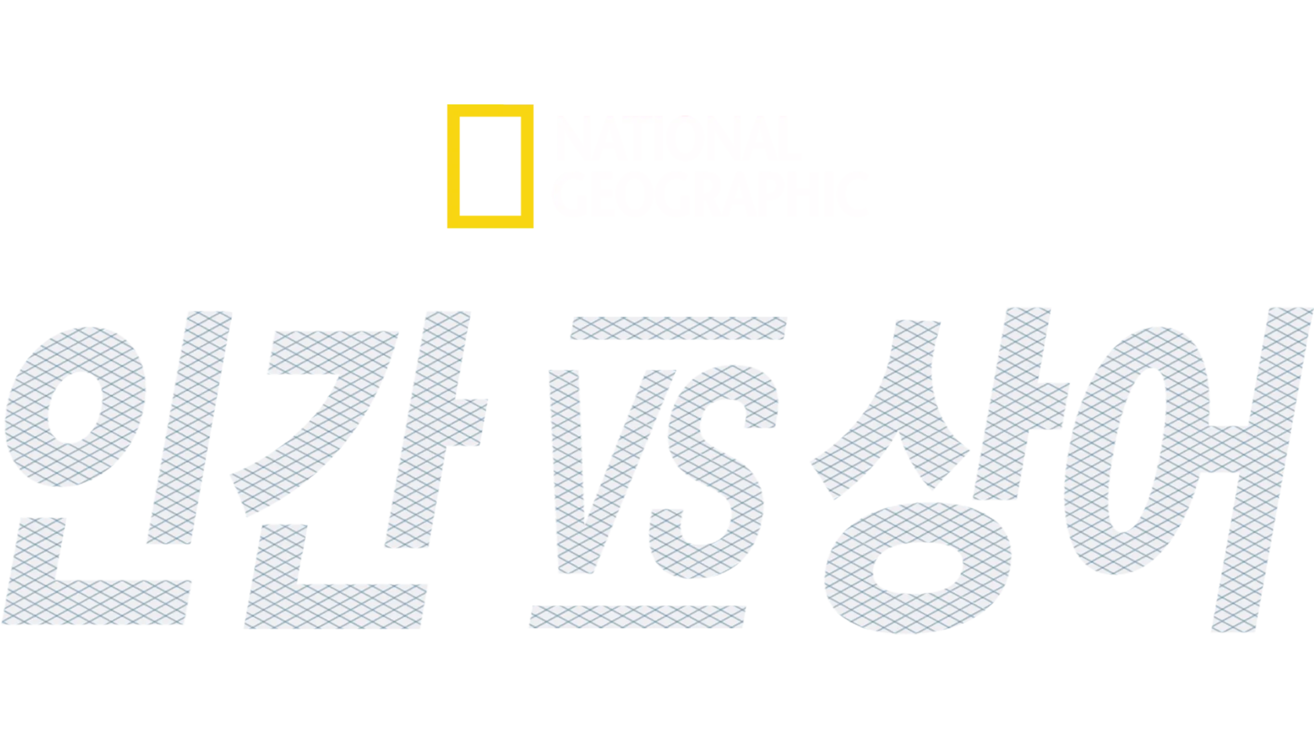 인간 vs 상어