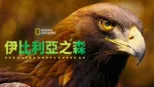 thumbnail - 伊比利亞之森