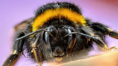 thumbnail - S1:E5 The Busy Farm