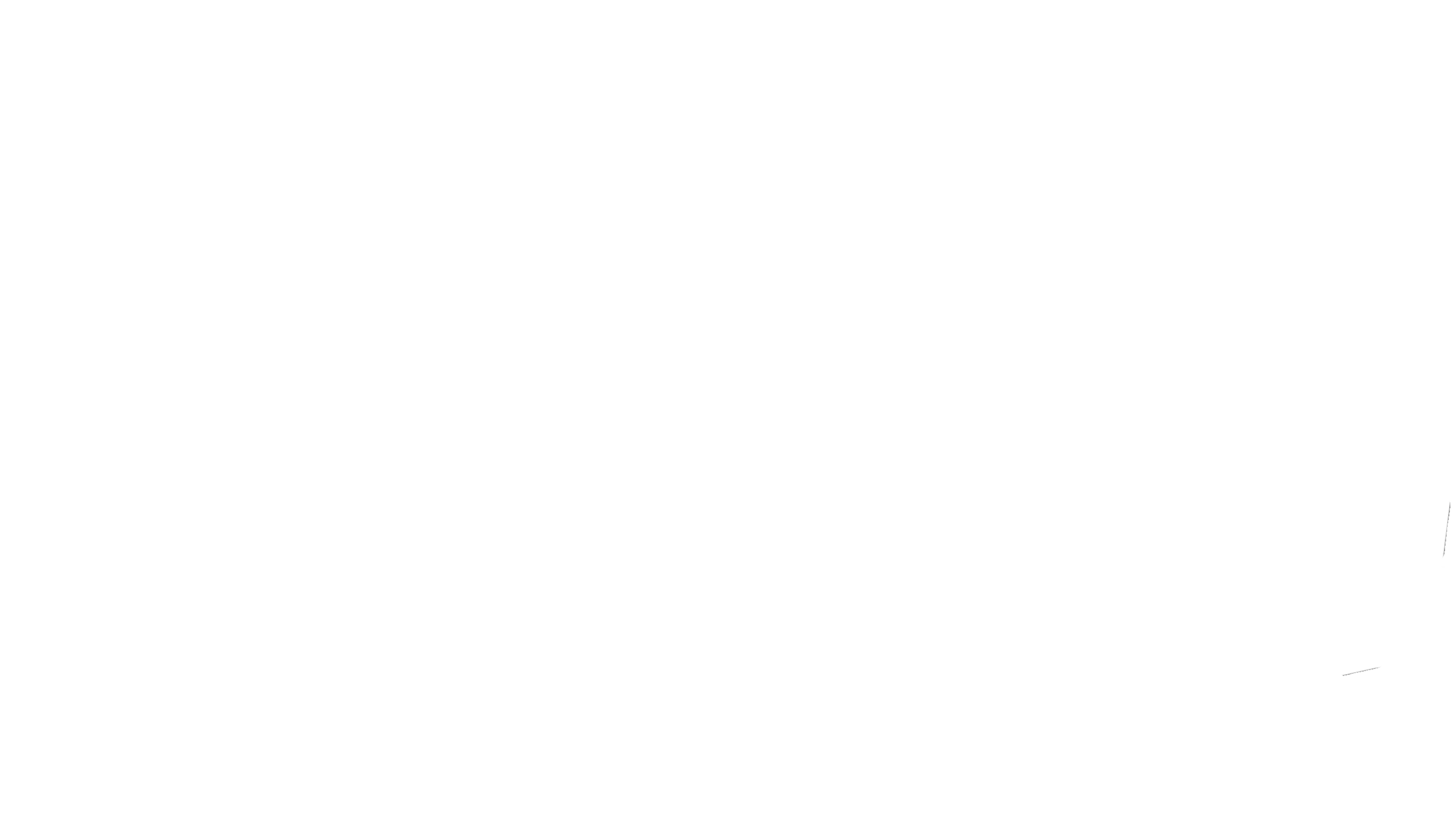 The Other Sister