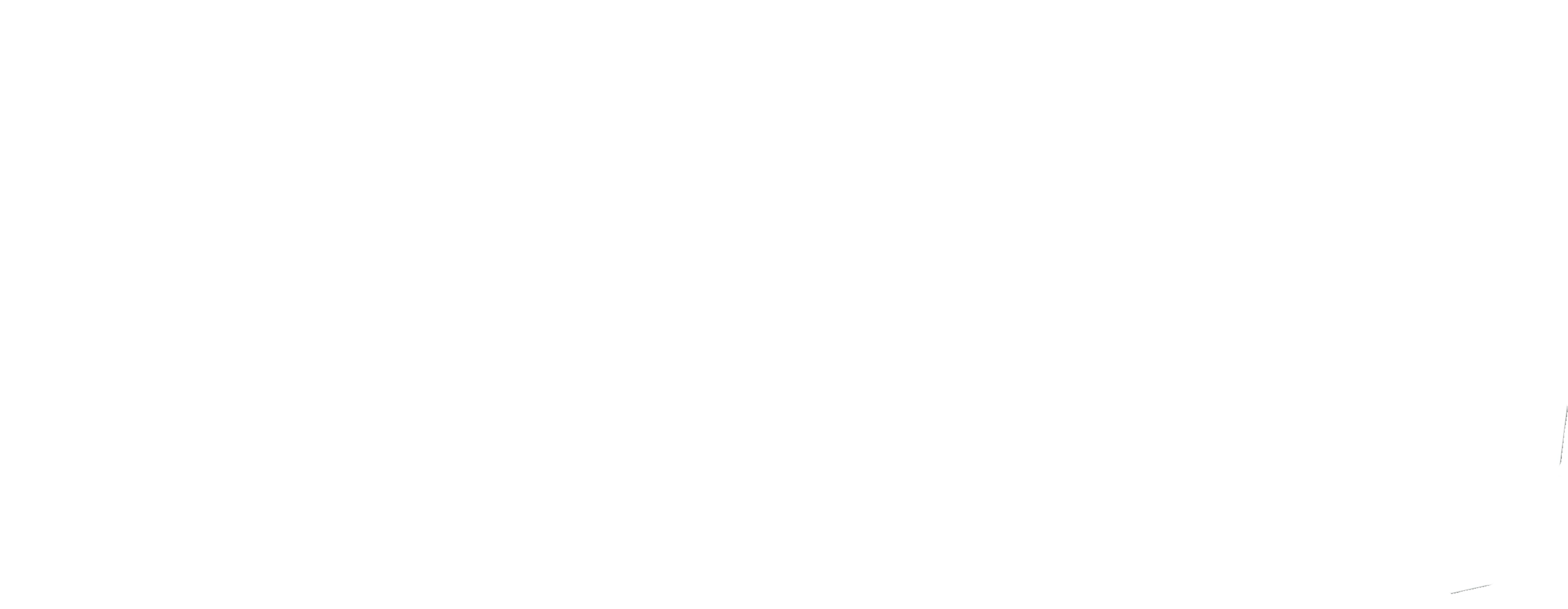 The Other Sister