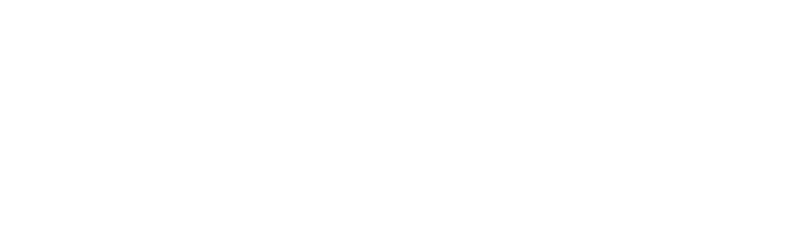 Borussia Dortmund vs. Leverkusen