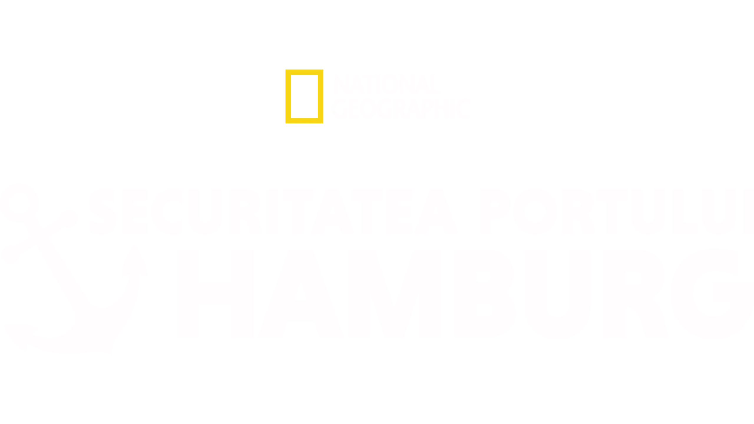 Securitatea portului: Hamburg
