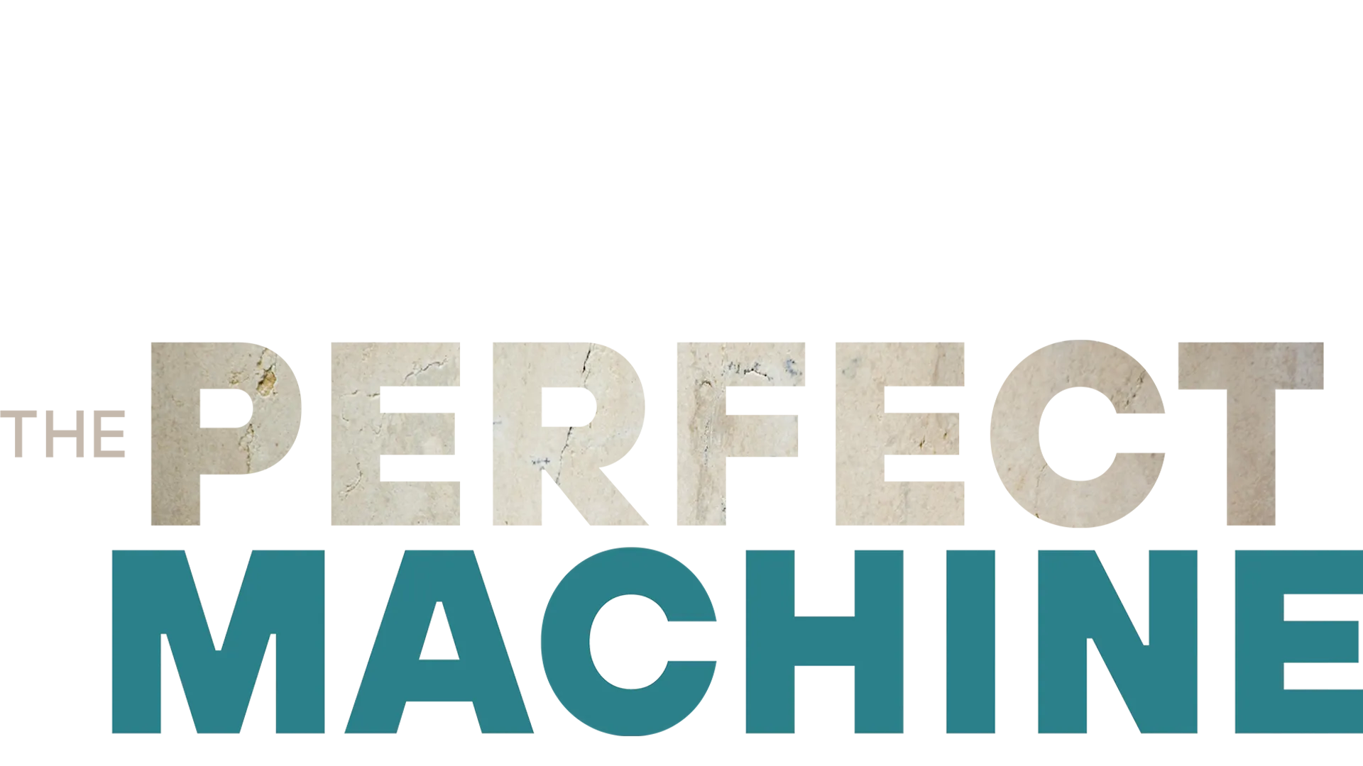 The Perfect Machine
