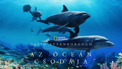 David Attenborough: Az óceán csodája