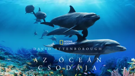 thumbnail - David Attenborough: Az óceán csodája