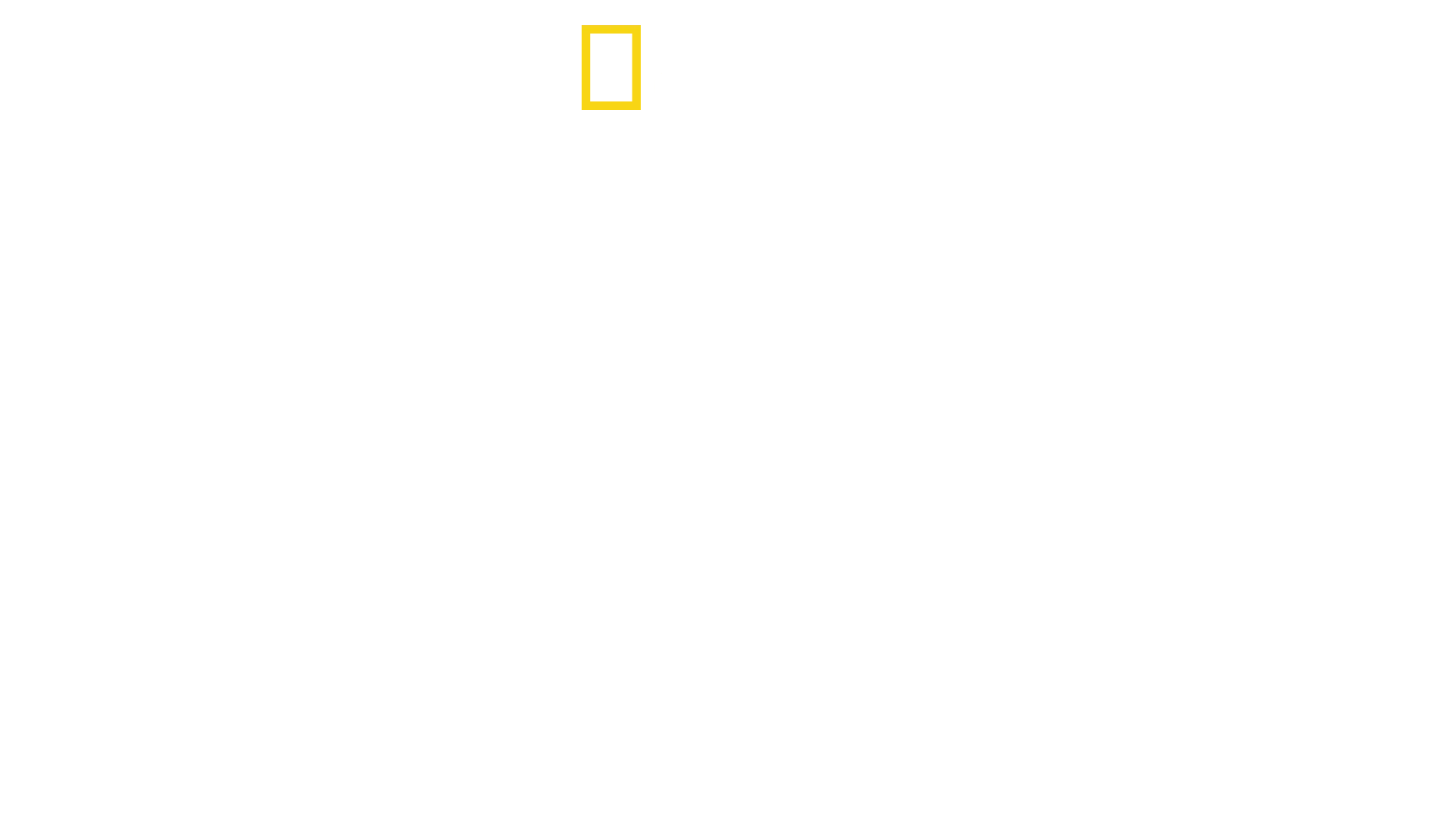 Fabriken der Superlative