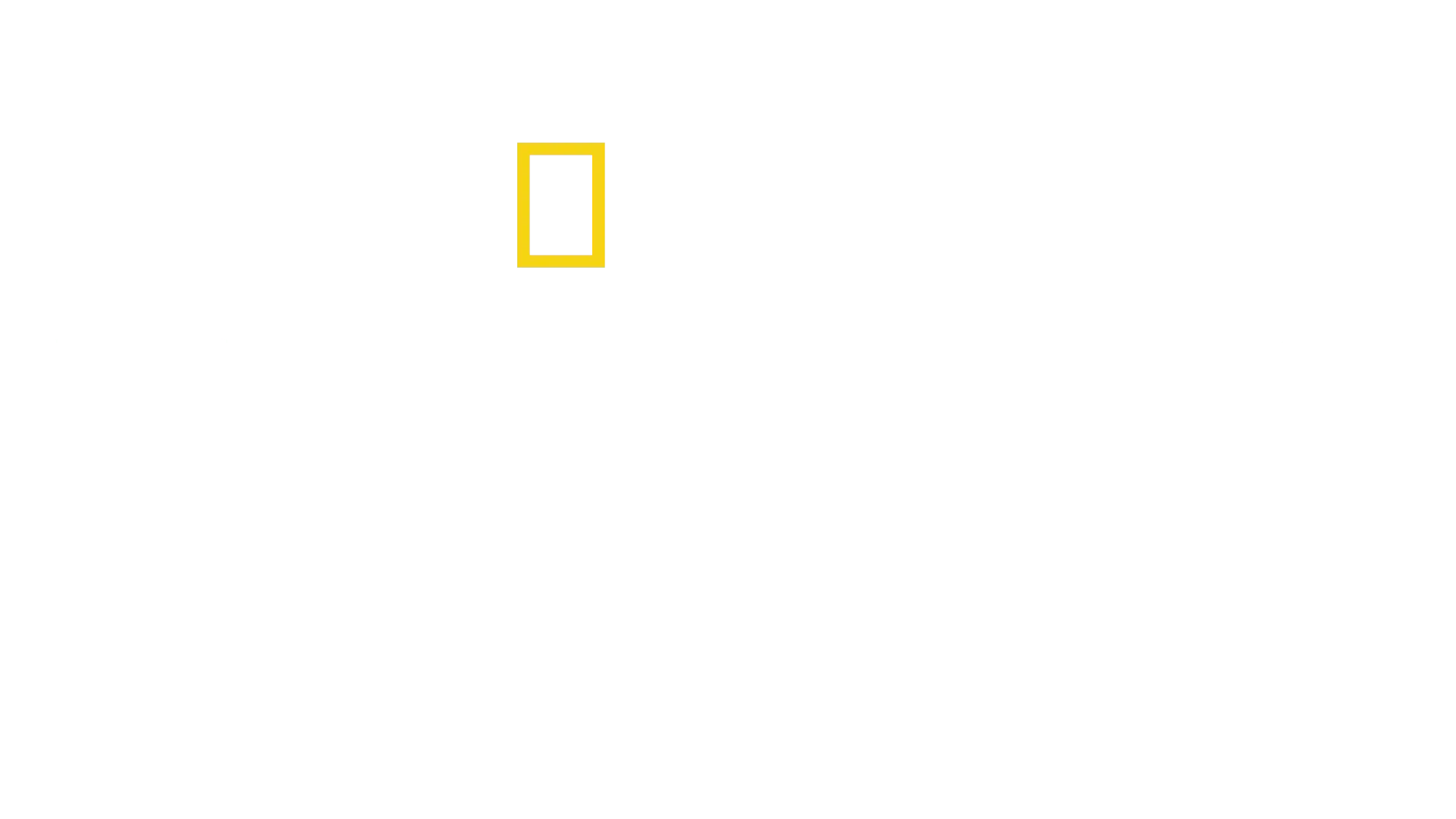 Secrets of the Whales