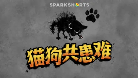 thumbnail - 猫狗共患难