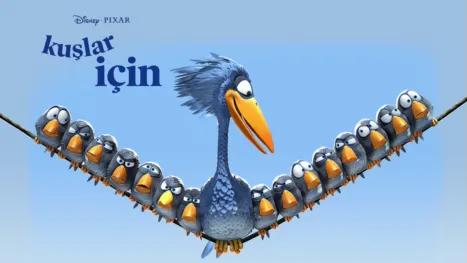 thumbnail - Kuşlar İçin