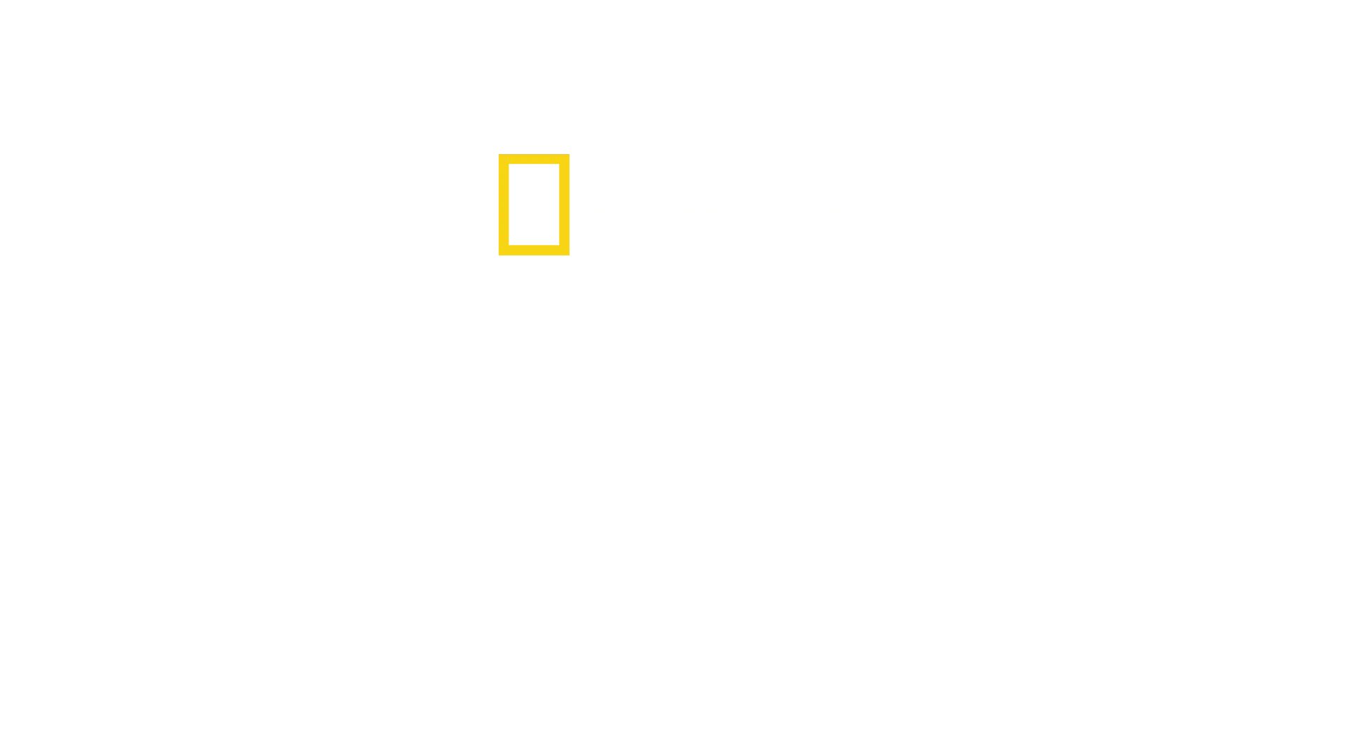 Ohne Limits: Für ein besseres Leben